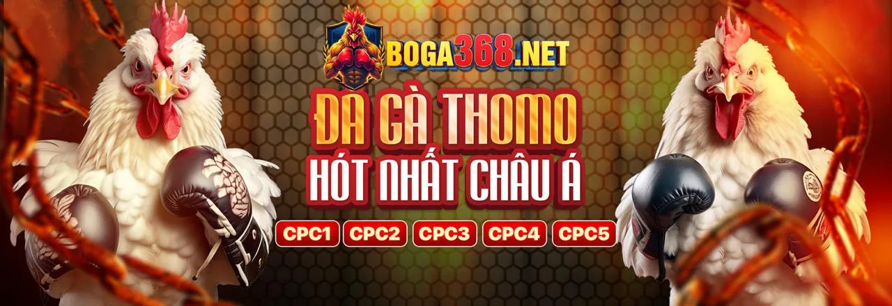 Sân đá gà trực tuyến awin68 apk